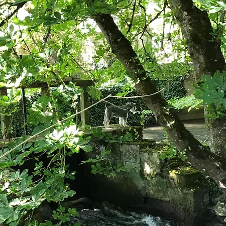 Moulin De La Fosse Gites 1 拉罗歇尔